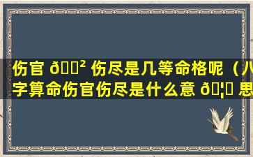 伤官 🌲 伤尽是几等命格呢（八字算命伤官伤尽是什么意 🦊 思）